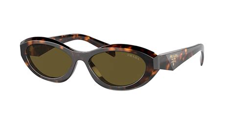 Prada PR 26ZS 55 Dark Brown & Sage/Honey Tortoise Sunglasses .